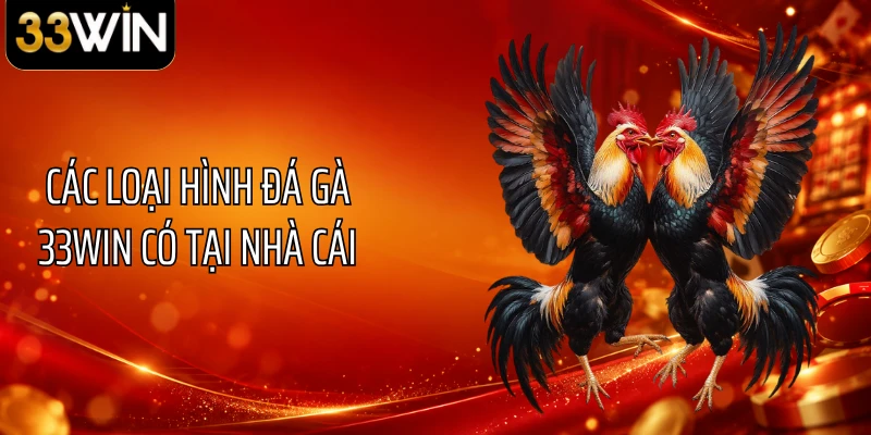 Các loại hình đá gà 33WIN có tại nhà cái