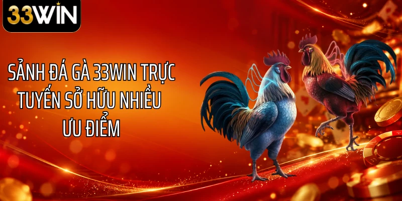 Sảnh đá gà 33WIN trực tuyến sở hữu nhiều ưu điểm